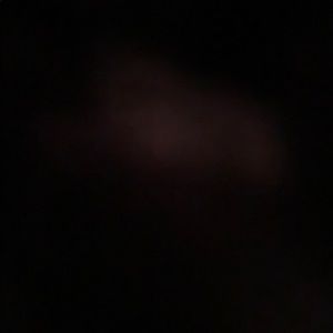 Meet your Posher, Manny